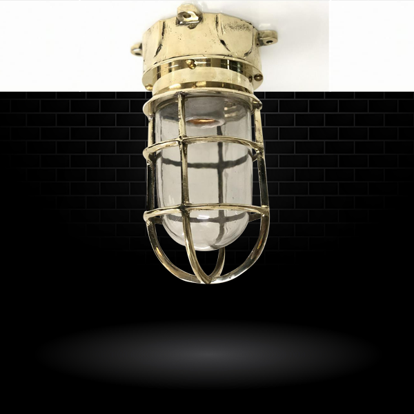 Industrial Wall Ceiling Cage Salvage Light